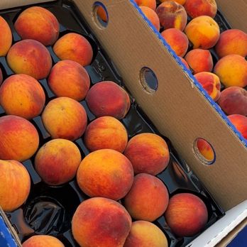 Wind Drift Orchard - Peaches - Fruits & Veggies Near Me - Harrah, Oklahoma