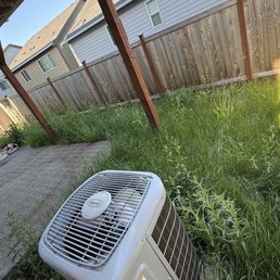 Back yard: before