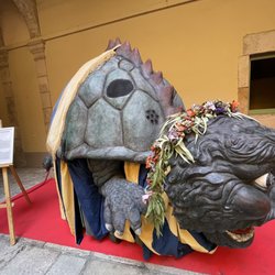 Teatre Principal - Turtle