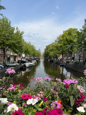 Blue Boat Company by null