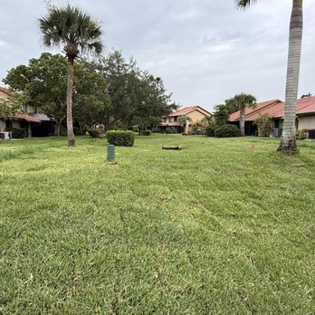 Bissett & Sons Land Services - 10,000 sqft of Sod Installation Complete!
Happy Customer! - Excavation Services Near Me - Cocoa, Florida Bissett & Sons Land Services - 10,000 sqft of Sod Installation Complete!
Happy Customer! - Excavation Services Near Me - Cocoa, Florida