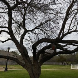 Bicentennial Park in Pantego gift card
