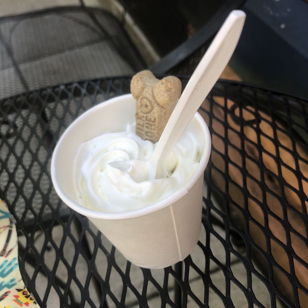 Muggles Mug - Pup cup - Coffee & Tea Near Me - Jim Thorpe, Pennsylvania