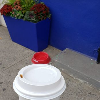 Treehouse Coffee Shop - Doggy dish... - Coffee & Tea Near Me - Jersey City, New Jersey Treehouse Coffee Shop - Doggy dish... - Coffee & Tea Near Me - Jersey City, New Jersey