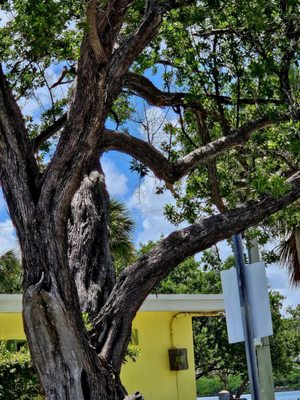 Haulover Park by null