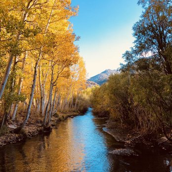 Parcher's Resort - South Fork Bishop Creek, between Parcher's and Bishop Creek Lodge. - Hotels Near Me - Bishop, California
