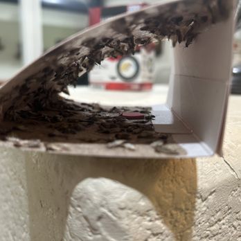 Clark Pest Control - Some of the Moths trapped in past week. - Pest Control Near Me - Sonora, California