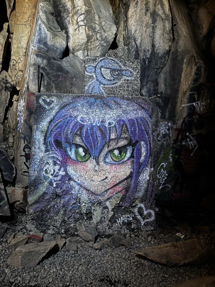 Donner Pass Railroad Tunnel Hike Logo