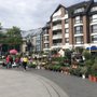 Photo of Blumen und Gartenmarkt