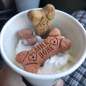 Starbucks - Zeus special treatment at Starbucks !!! - Coffee & Tea Near Me - Mesa, Arizona Starbucks - Zeus special treatment at Starbucks !!! - Coffee & Tea Near Me - Mesa, Arizona