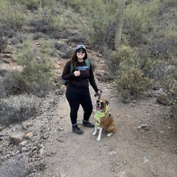 Dog friendly