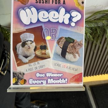 Let's Sushi - They have a contest to get free sushi for a week! - Sushi Bars Near Me - Wexford, Pennsylvania Let's Sushi - They have a contest to get free sushi for a week! - Sushi Bars Near Me - Wexford, Pennsylvania