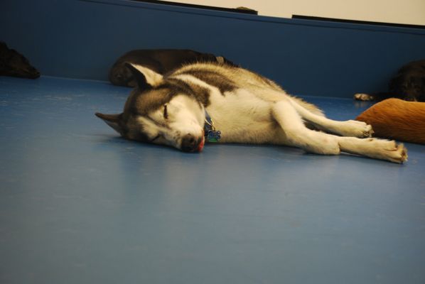 Biscuits & Bath - Riverside Blvd by null