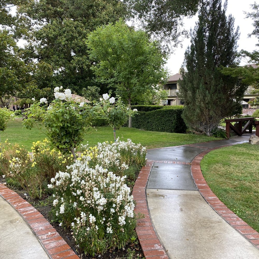 Paso Robles Inn - Peaceful lawns and gardens in the refreshing rain after 100 degree heat - Hotels Near Me - Paso Robles, California Paso Robles Inn - Peaceful lawns and gardens in the refreshing rain after 100 degree heat - Hotels Near Me - Paso Robles, California