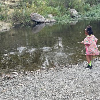 Wildhaven - Russian River - Campgrounds Near Me - Healdsburg, California Wildhaven - Russian River - Campgrounds Near Me - Healdsburg, California