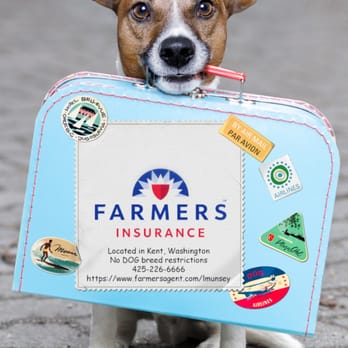 Lorri Munsey-Snyder - NO Dog breed Restrictions - Auto Insurance Near Me Lorri Munsey-Snyder - NO Dog breed Restrictions - Auto Insurance Near Me