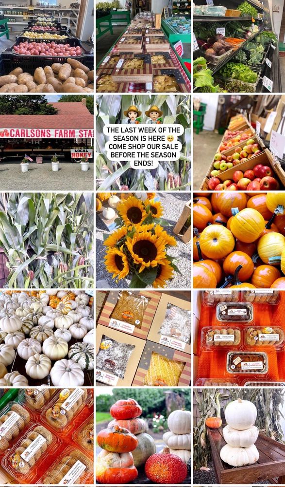 CARLSON’S FARMSTAND Updated October 2024 28 Photos 472 Elwood Rd