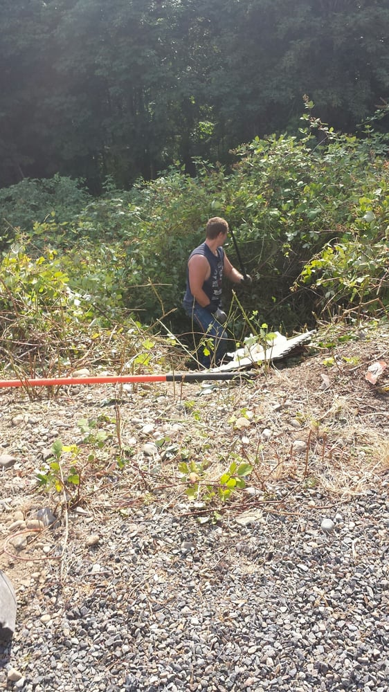 Slide of Gray's Rooter