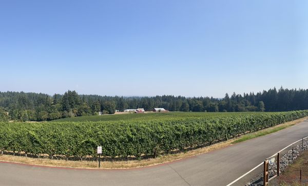 Hawks View Winery by null