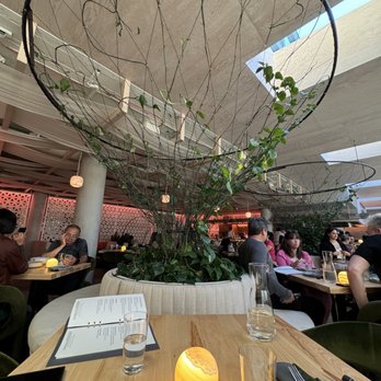 Terra Mae - Japanese Near Me - Portland, Oregon