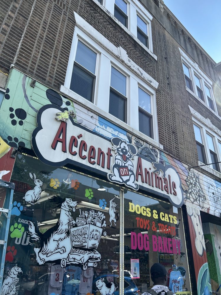 Accent On Animals Image