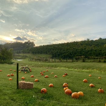 Bryant's Cidery & Brewery - Cideries Near Me - Roseland, Virginia