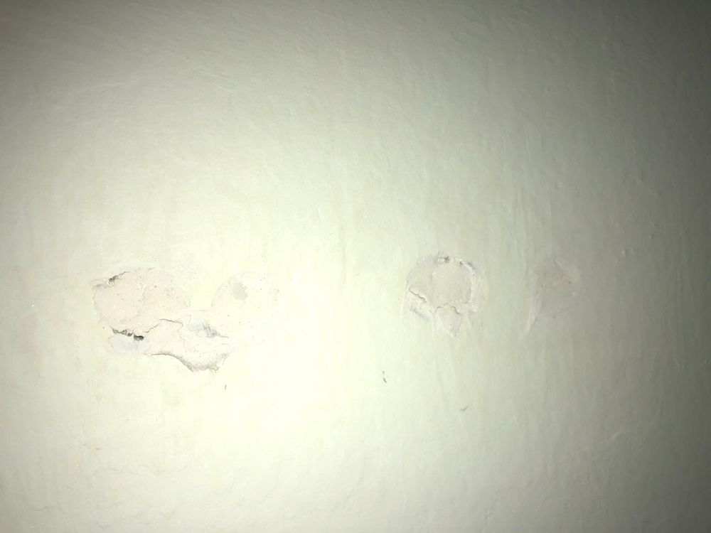 Best Buy Naples Experience