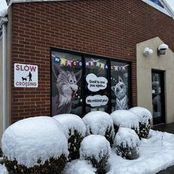 Westfield Animal Hospital
