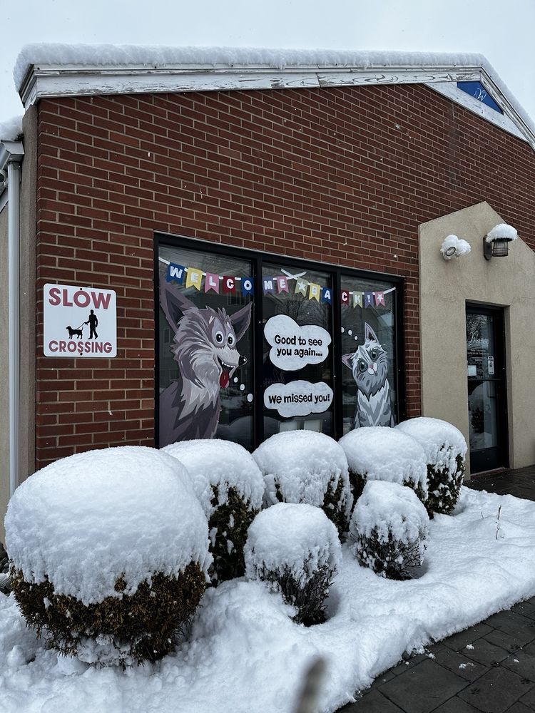 Westfield Animal Hospital - pet boarding facility in Westfield, NJ