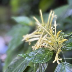 Botanischer Garten München-Nymphenburg