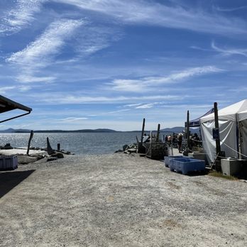 Taylor Shellfish Farms - More view - Seafood Markets Near Me - Bow, Washington Taylor Shellfish Farms - More view - Seafood Markets Near Me - Bow, Washington