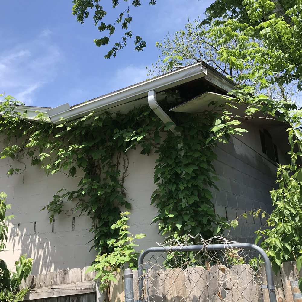 Durbin AAA Tree Service Inc - Tree Services Near Me - Raytown, Missouri Durbin AAA Tree Service Inc - Tree Services Near Me - Raytown, Missouri