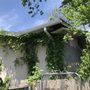 Photo of Durbin AAA Tree Service Inc