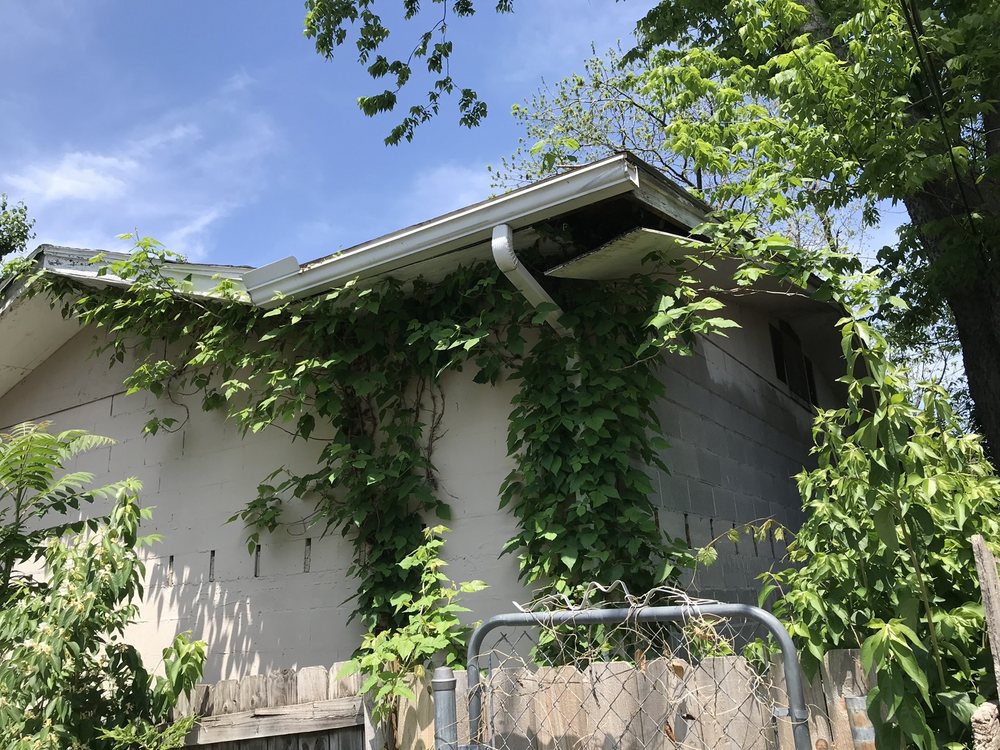 Durbin AAA Tree Service Inc - tree service in Raytown, MO