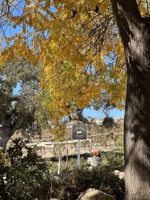 Third Wheel Tours by null