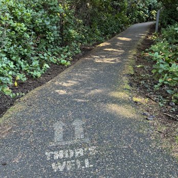 Thor’s Well - 11.24.23 start of paved trail from sign - Landmarks & Historical Buildings Near Me - Florence, Oregon Thor’s Well - 11.24.23 start of paved trail from sign - Landmarks & Historical Buildings Near Me - Florence, Oregon
