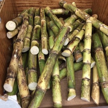 Patel Brothers - Sugar cane. - International Grocery Near Me - Shrewsbury, Massachusetts Patel Brothers - Sugar cane. - International Grocery Near Me - Shrewsbury, Massachusetts