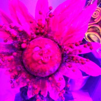 Otherworld - Flower face - Performing Arts Near Me - Columbus, Ohio