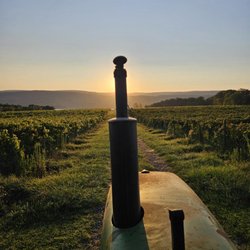 Lakewood Vineyards