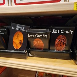 Olde Tyme Candy Shoppe - More insect candy