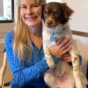 Wow Dog Rescue - Comets BIG Day!! - Pet Adoption Near Me Wow Dog Rescue - Comets BIG Day!! - Pet Adoption Near Me