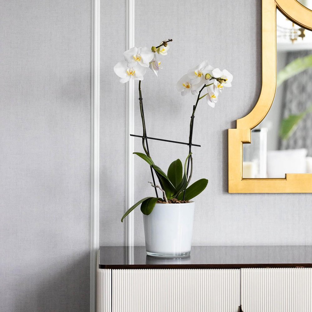 WINSTON FLOWERS 112 Photos 31 Central St, Wellesley, MA Yelp