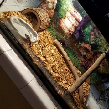 PetSmart - Sally is happy in her new home! - Pet Stores Near Me - Stevenson Ranch, California PetSmart - Sally is happy in her new home! - Pet Stores Near Me - Stevenson Ranch, California