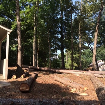 Ryan Tree Service - Tree Services Near Me - Lilburn, Georgia Ryan Tree Service - Tree Services Near Me - Lilburn, Georgia