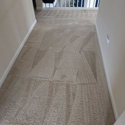 Master Carpet Cleaning