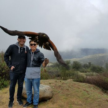 Sky Falconry - The hero shot with Steam! - Specialty Schools Near Me - Alpine, California Sky Falconry - The hero shot with Steam! - Specialty Schools Near Me - Alpine, California