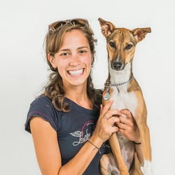 Darlington Veterinary Hospital - Kristen- Animal Behaviour Specialist