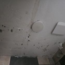 West Virginia Property Management - As you can see, a person with asthma needs to live with a moldy bathroom ceiling.