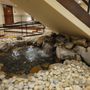 Photo of Spa of the Pines Fitness Studio