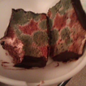 Tanya's European Deli - This is the moldy cake we got from Tanya's. Never going back, except to try and get my money back!! - Delis Near Me - Beaverton, Oregon Tanya's European Deli - This is the moldy cake we got from Tanya's. Never going back, except to try and get my money back!! - Delis Near Me - Beaverton, Oregon